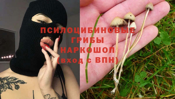 синтетический гашиш Богданович