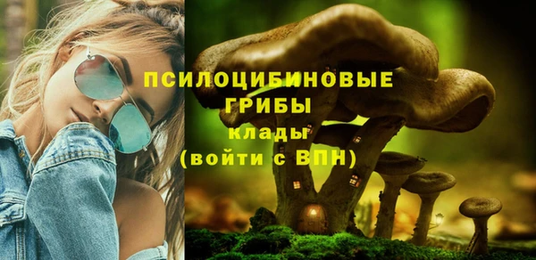 прущие крисы Богородицк