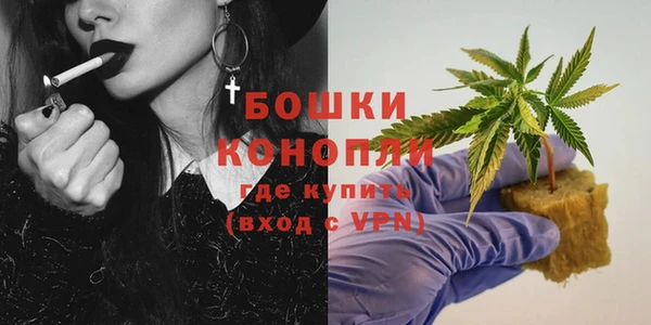 гашик Богородск