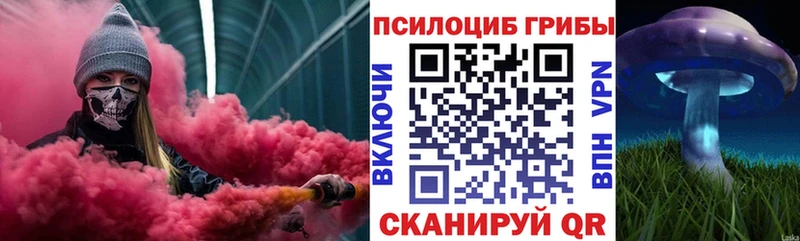 Купить  Свободный  Галлюциногенные грибы ЛСД 